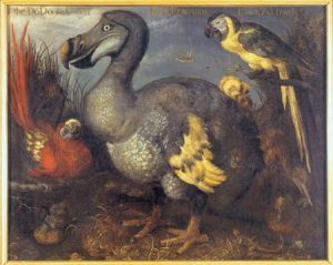 De dodo en andere vogels op een schilderij van Roelant Savery uit 1626.