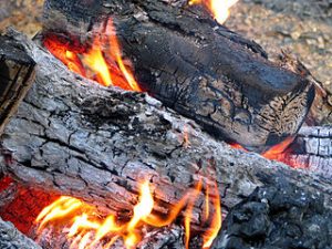 Brandend hout. De as is pot-as. Bron: wikimedia, Louis Waweru