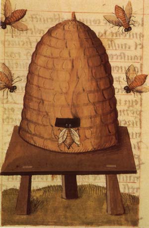 Medieval bee hive