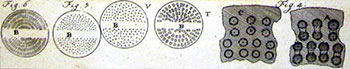Bronze discs for the extrusion press (Malouin, 1767)