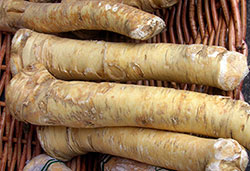 Horseradish in a vegetable stall on a market in Vienna. Source: wikimedia photo Anna reg